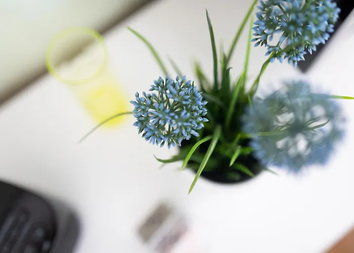 Appartement Haus Coordes 01 Norderney